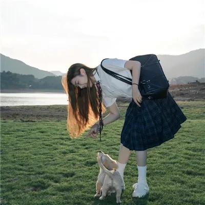 西力传